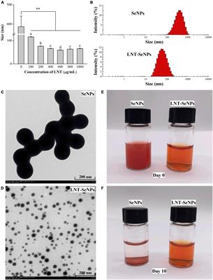 Lentinan-functionalized selenium nanoparticles induce apoptosis and cell cycle arrest in human colon carcinoma HCT-116 cells